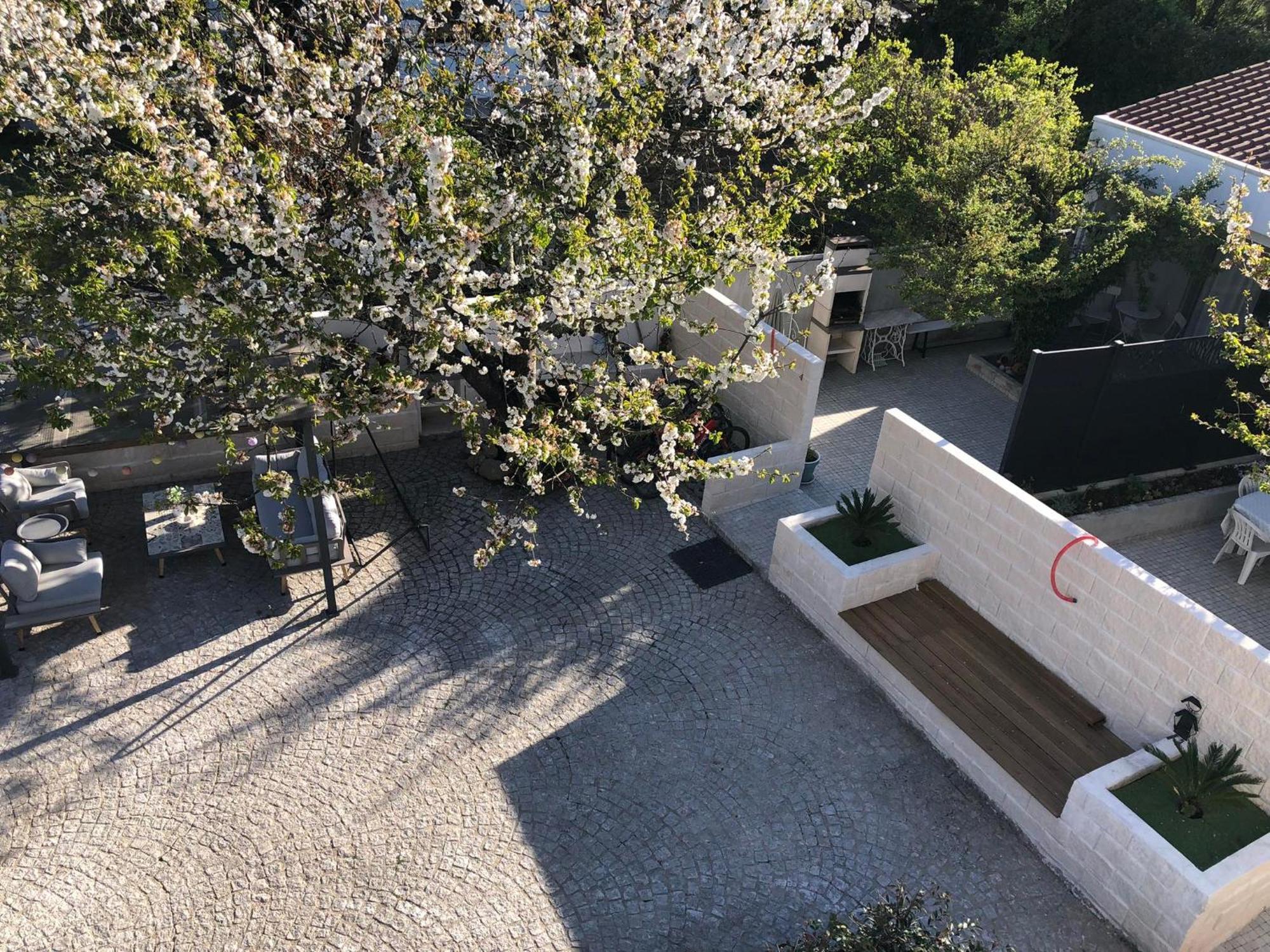 Casa Da Avo Olinda Villa Gois Exterior photo
